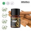 10ML GS 