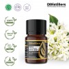 5ML GS 