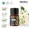 10ML GS 