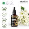50ML GS 