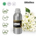 Neroli / Bunga Jeruk Essential Oil Pure 100% | Citrus Aurantium
