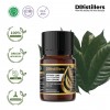 5ML GS 