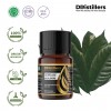 10ML GS 