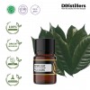2ML GS 