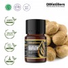 5ML GS 