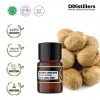 2ML GS 