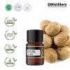 2ML GS 