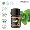 5ML GS 