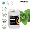 2L HDPE 