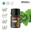 10ML GS 