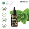 50ML GS 