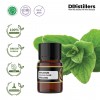 2ML GS 