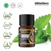 5ML GS 