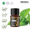 10ML GS 