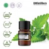 2ML GS 