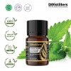 5ML GS 